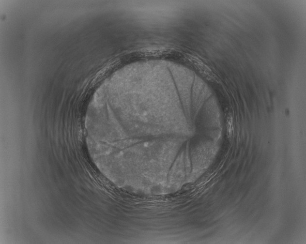 X0000067891204200605111842