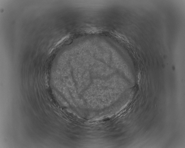 X0000067891205200605111842