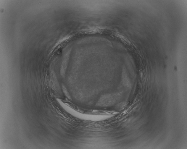 X0000067891206200605111842