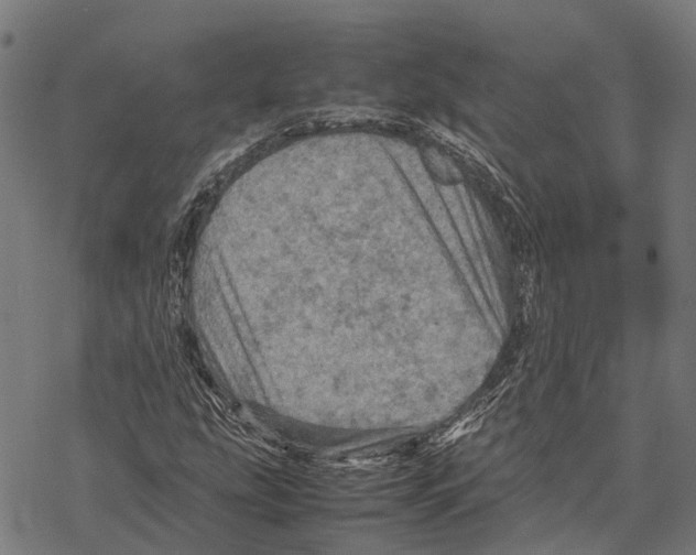 X0000067891207200605111842