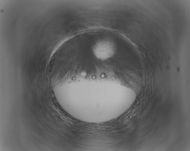 X0000067891208200605111842