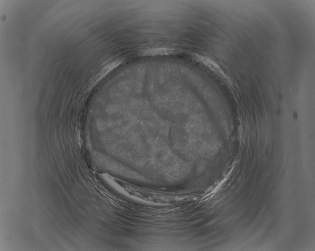 X0000067891209200605111842