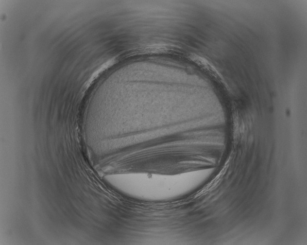 X0000067891210200605111842