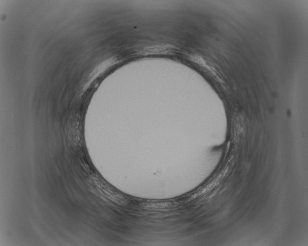 X0000067891211200605111842