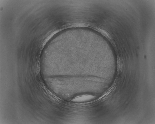 X0000067891212200605111842