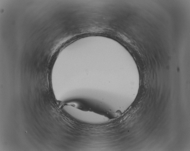 X0000067891214200605111842