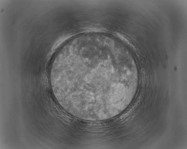 X0000067891215200605111842