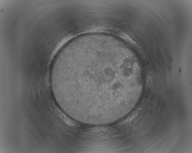 X0000067891216200605111842