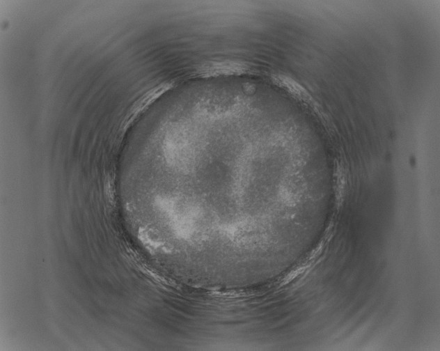 X0000067891217200605111842