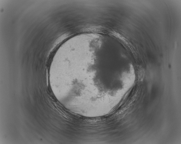 X0000067891219200605111842