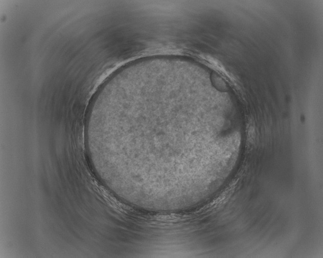 X0000067891220200605111842