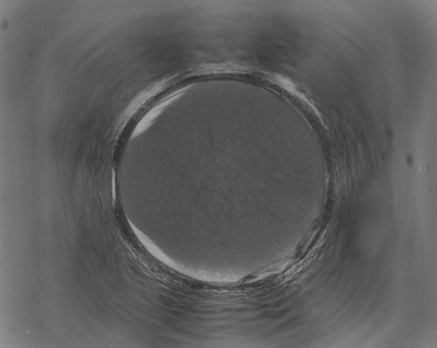 X0000067891221200605111842