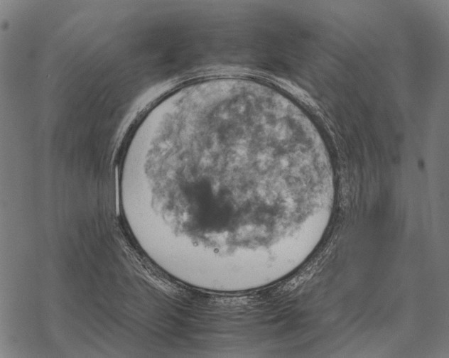 X0000067891223200605111842