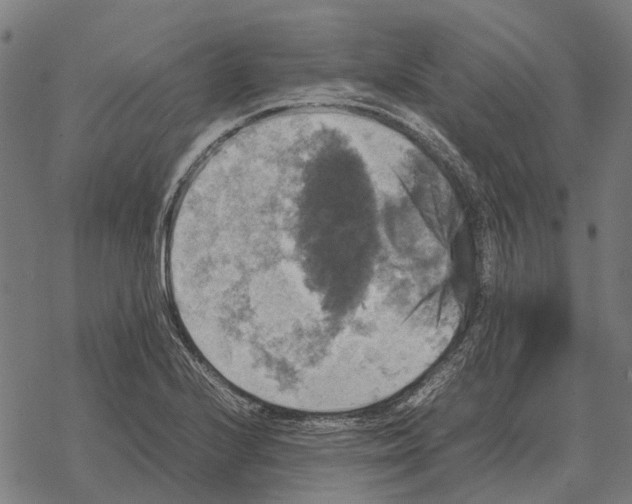 X0000067891224200605111842