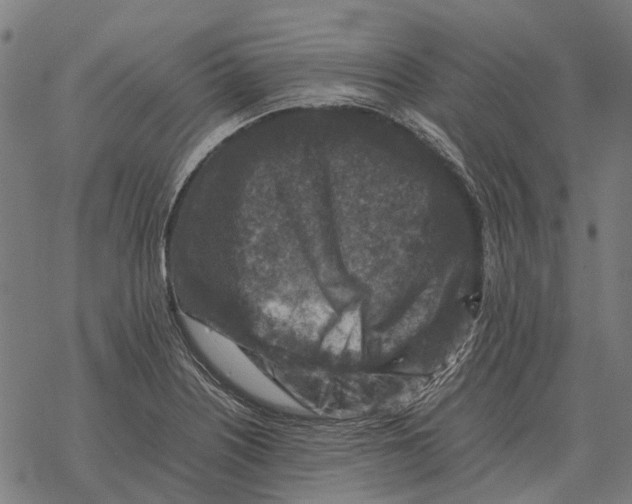 X0000067891226200605111842