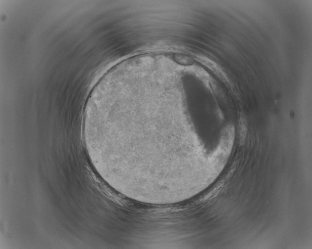 X0000067891228200605111842