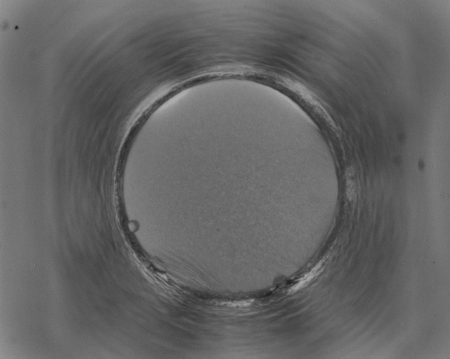 X0000067891229200605111842