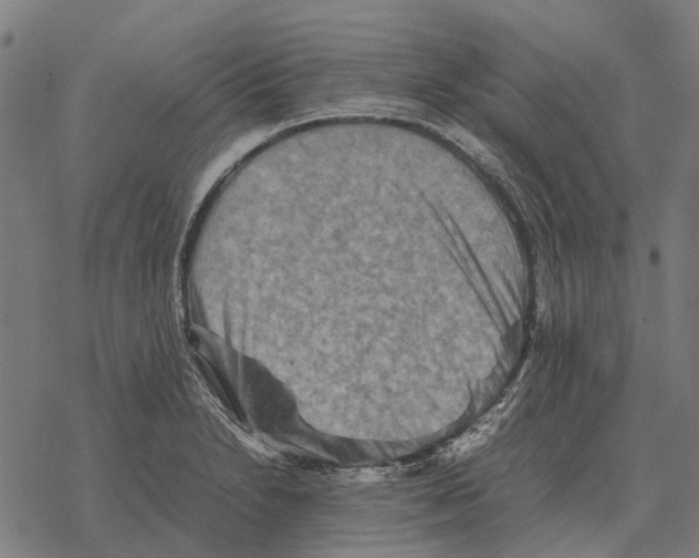 X0000067891230200605111842