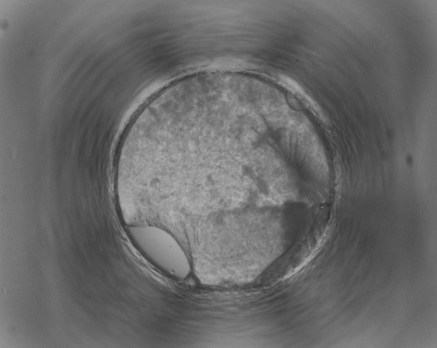 X0000067891232200605111842