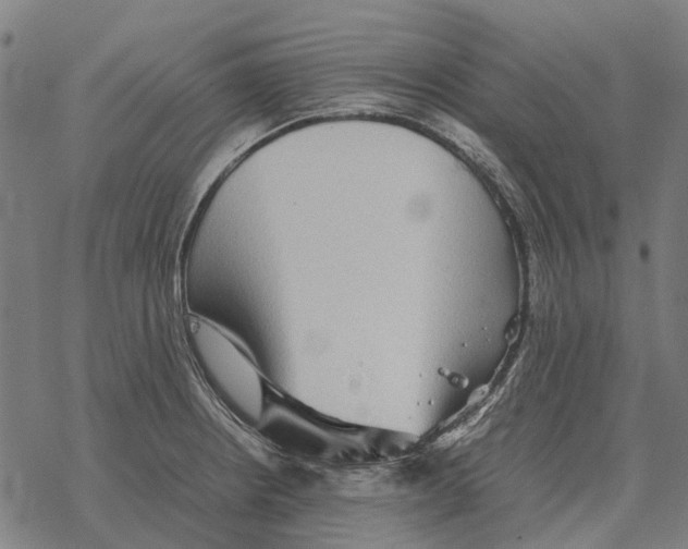 X0000067891234200605111842