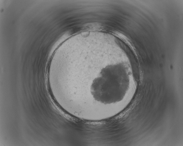 X0000067891235200605111842