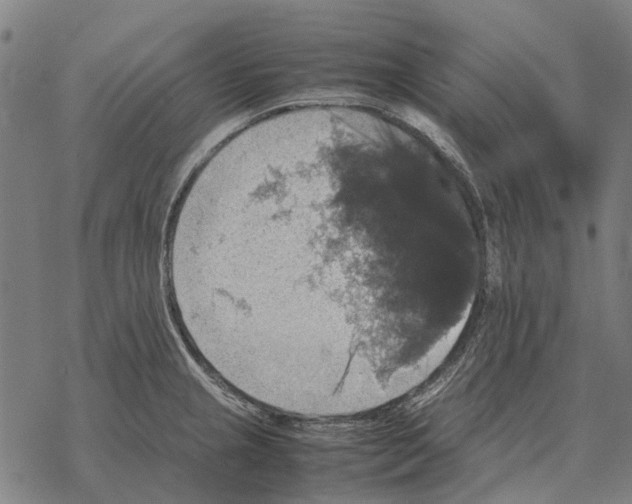 X0000067891237200605111842