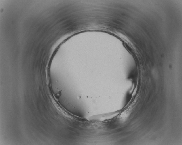 X0000067891238200605111842