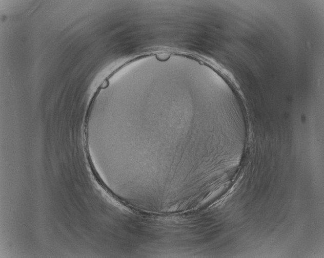 X0000067891239200605111842