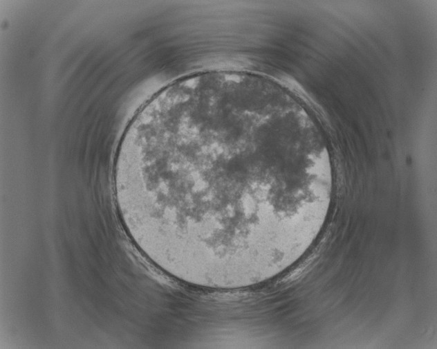 X0000067891240200605111843