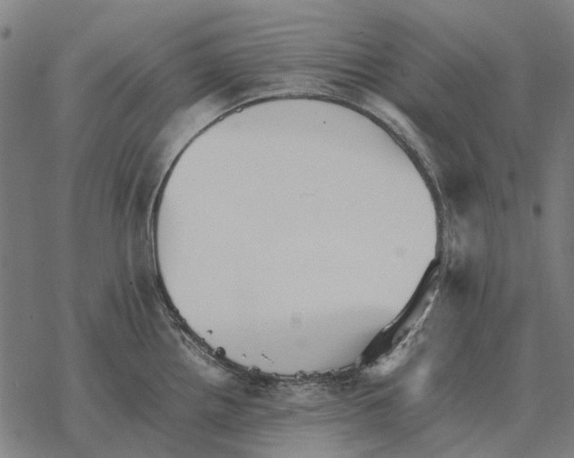 X0000067891242200605111843