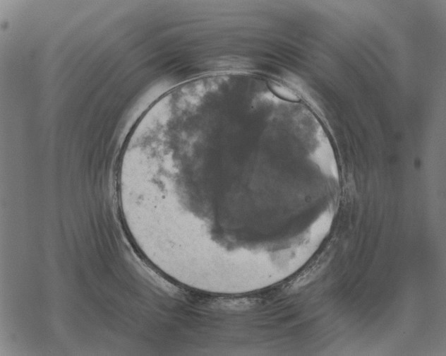 X0000067891243200605111843