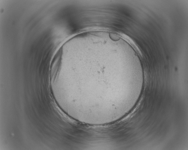 X0000067891244200605111843