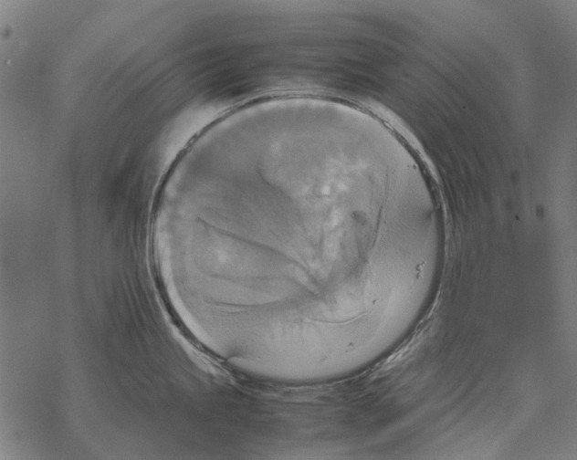 X0000067891245200605111843