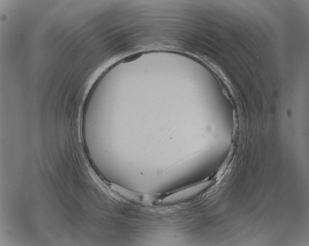 X0000067891246200605111843