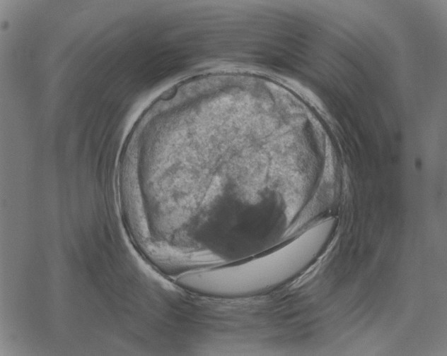 X0000067891247200605111843