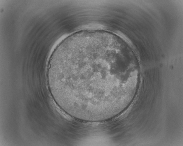 X0000067891248200605111843