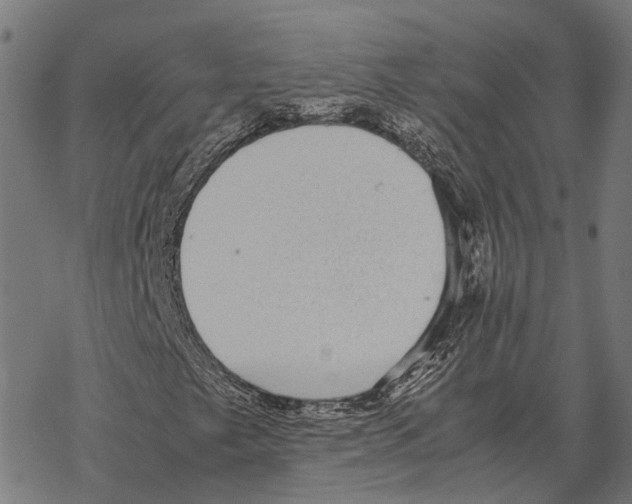 X0000067891249200605111842