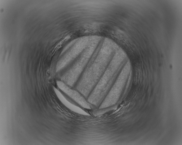 X0000067891250200605111842