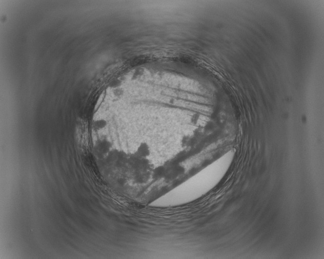 X0000067891251200605111842