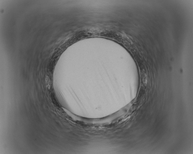 X0000067891253200605111842