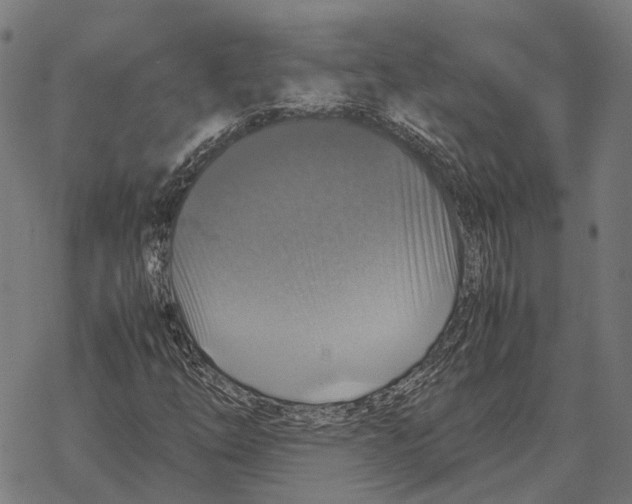 X0000067891254200605111842