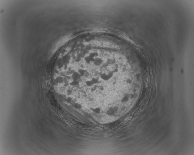 X0000067891255200605111842