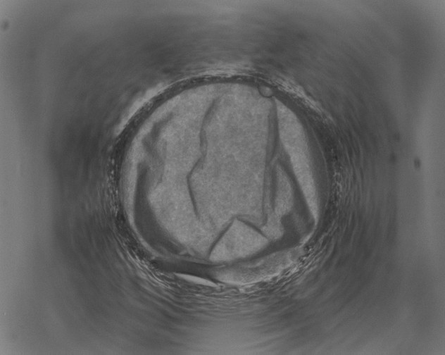 X0000067891256200605111842