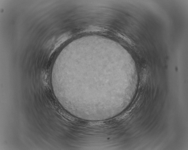 X0000067891258200605111842