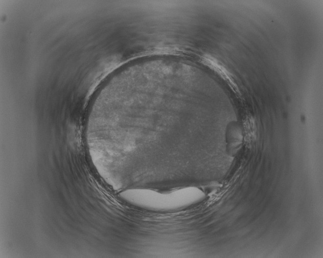 X0000067891260200605111842