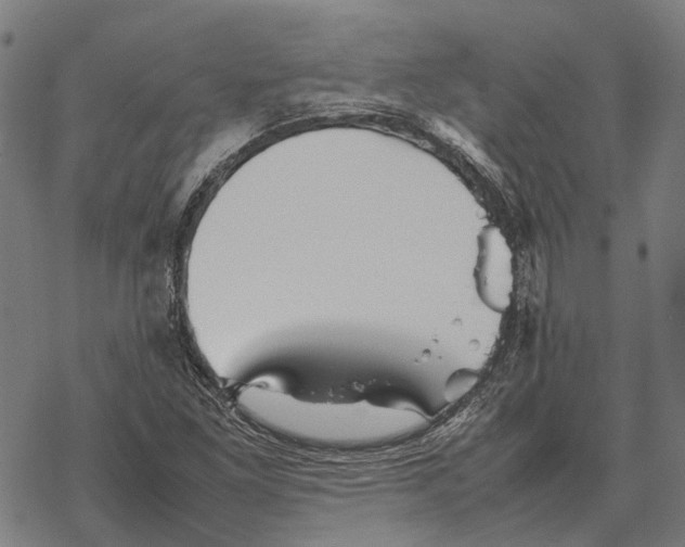 X0000067891261200605111842