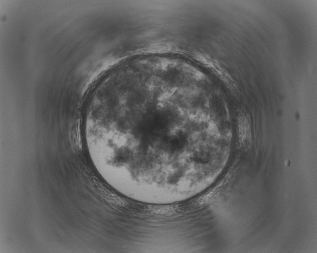 X0000067891262200605111842