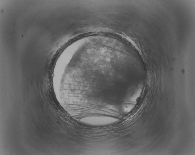 X0000067891263200605111842