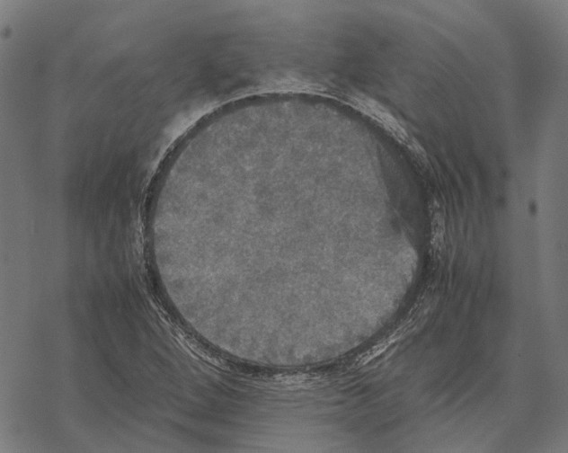 X0000067891264200605111842