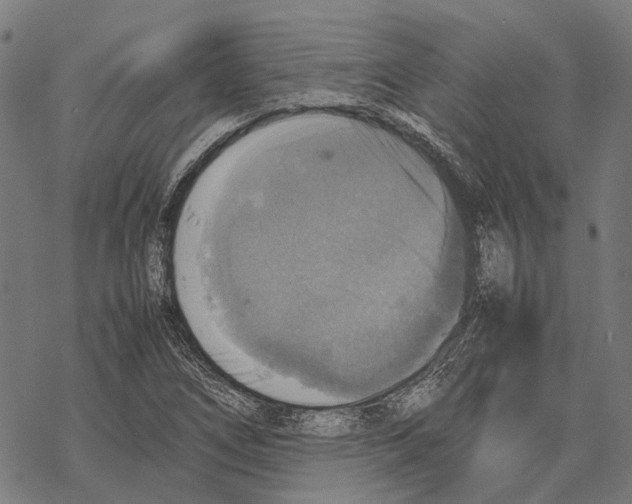 X0000067891266200605111842